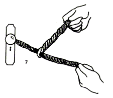 Illustration 7